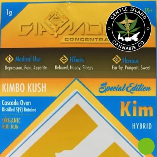 Kimbo Kush