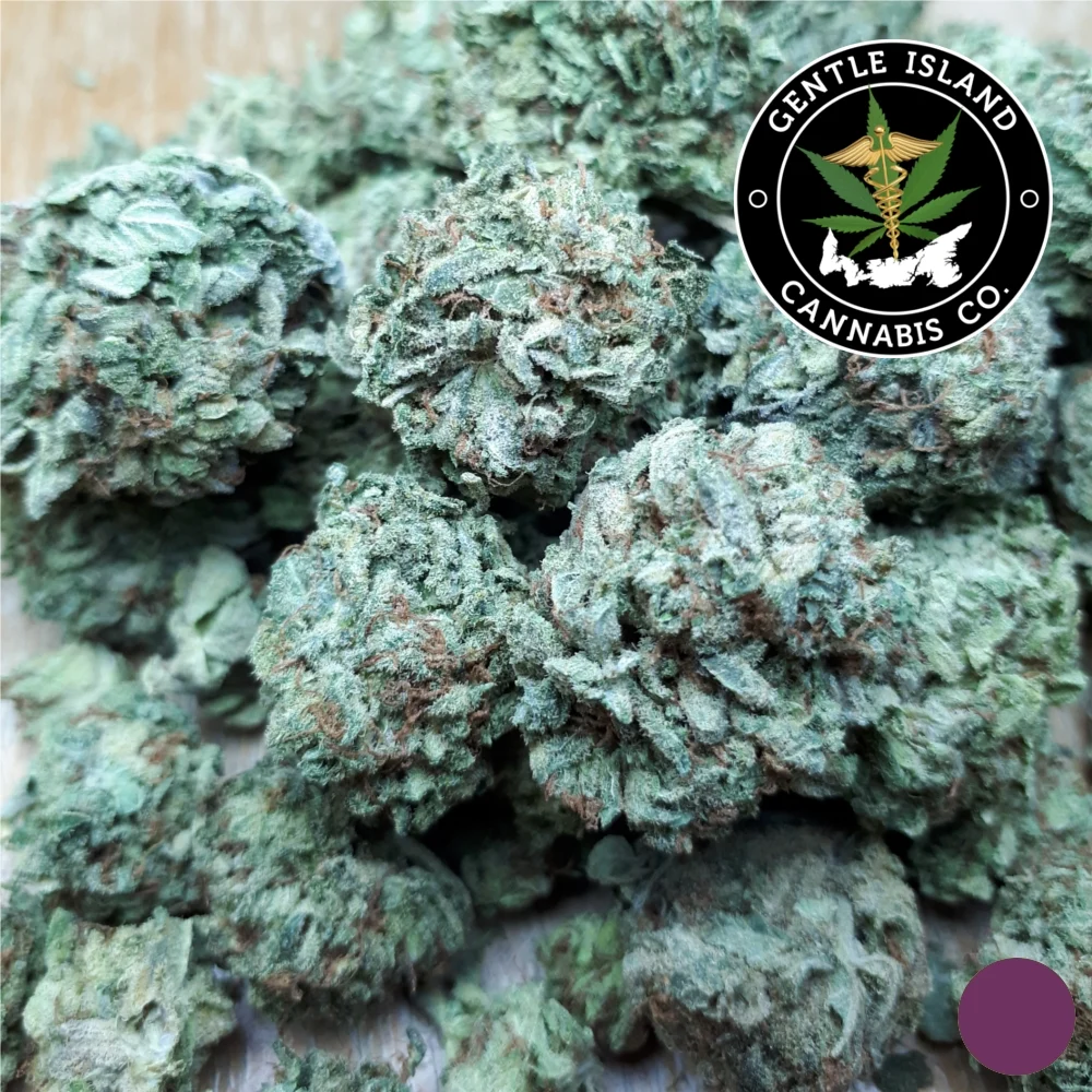 Purple Kush