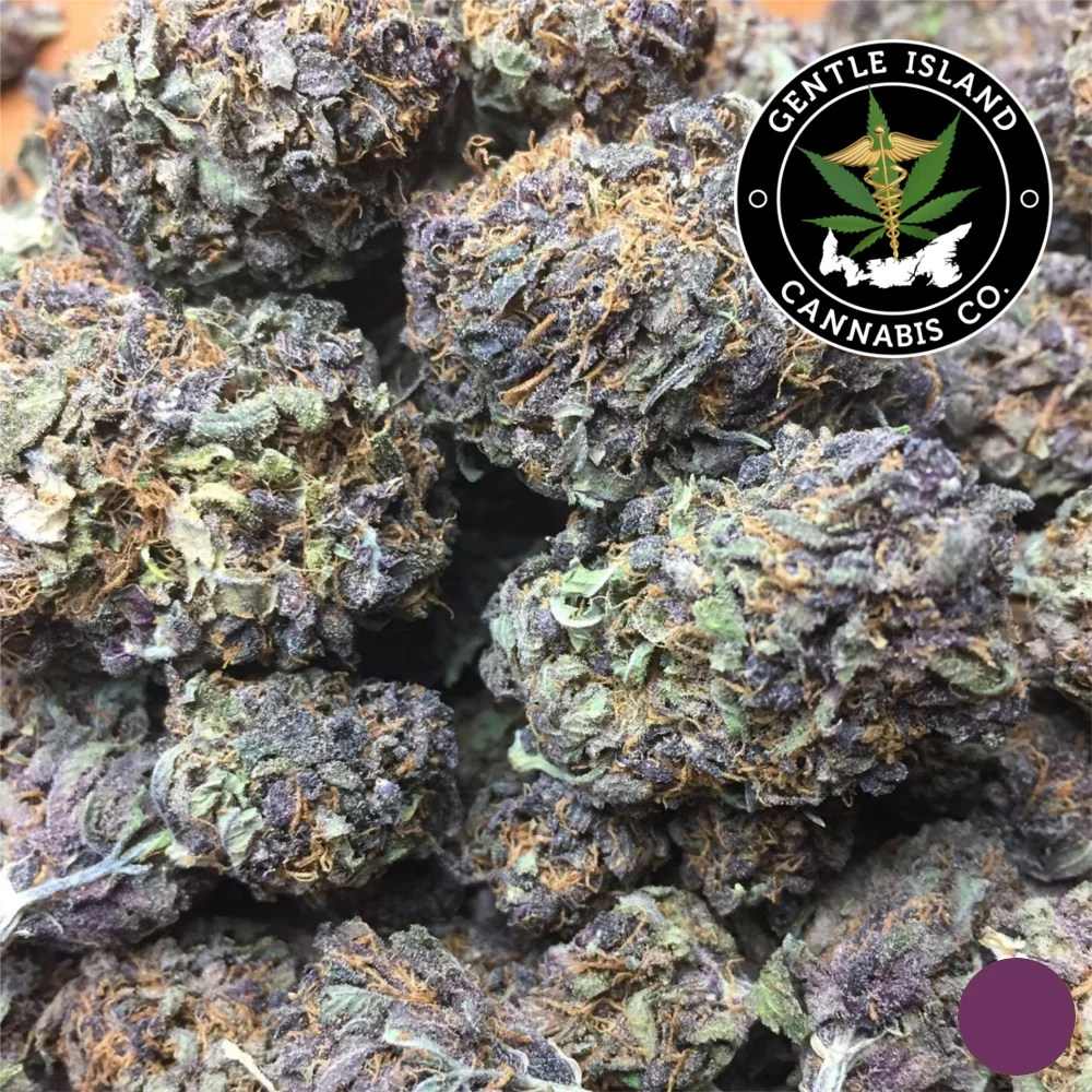 Purple Wreck