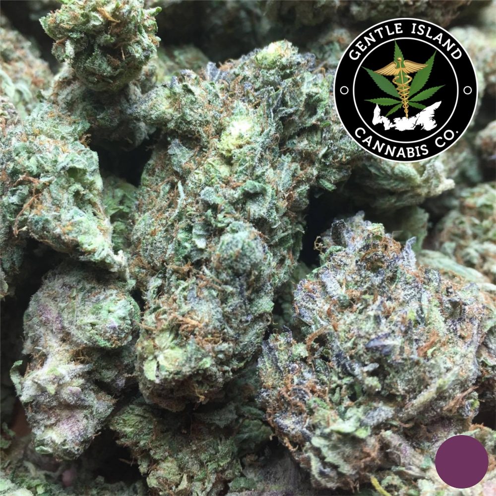 purplerockstar purplerockstar