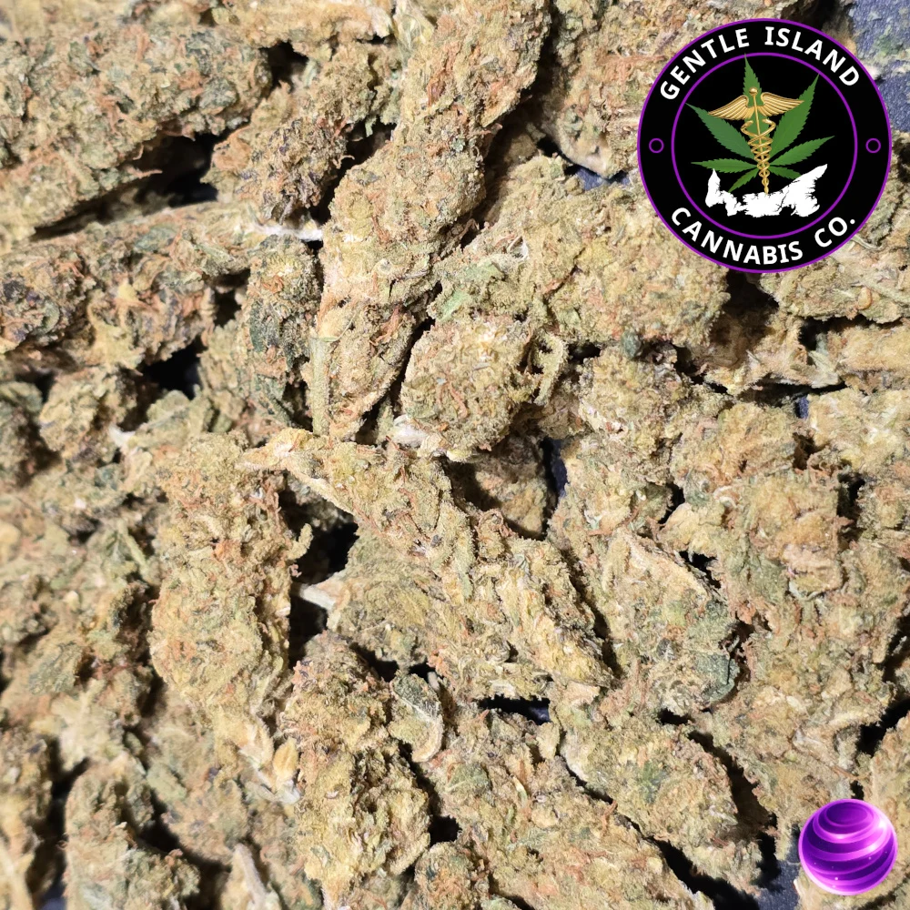 Violator Kush