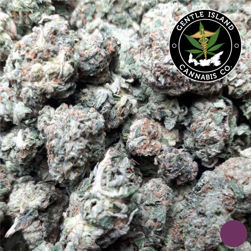 Master Kush
