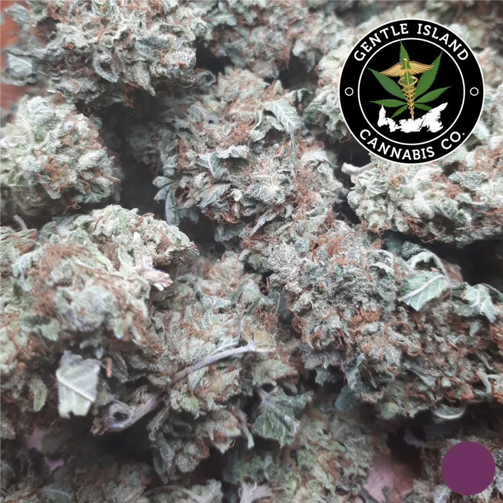 Death Bubba