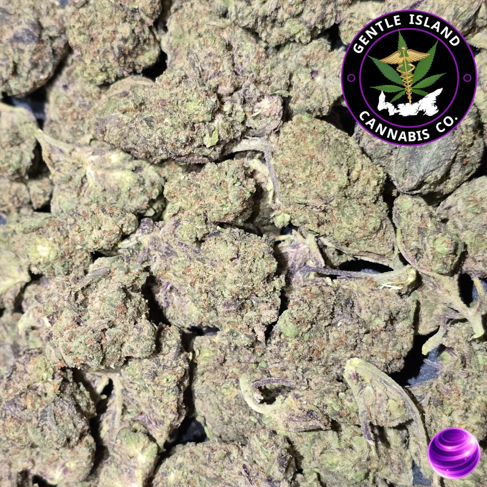 Purple Urkle