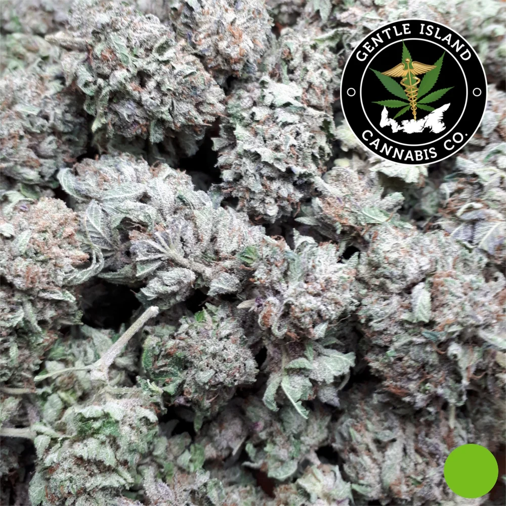 Alien OG