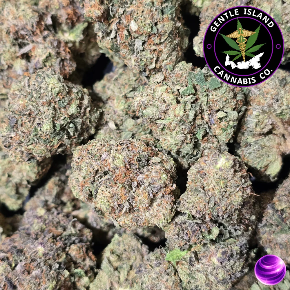 MK Ultra