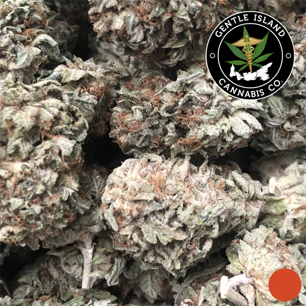 Acapulco Gold