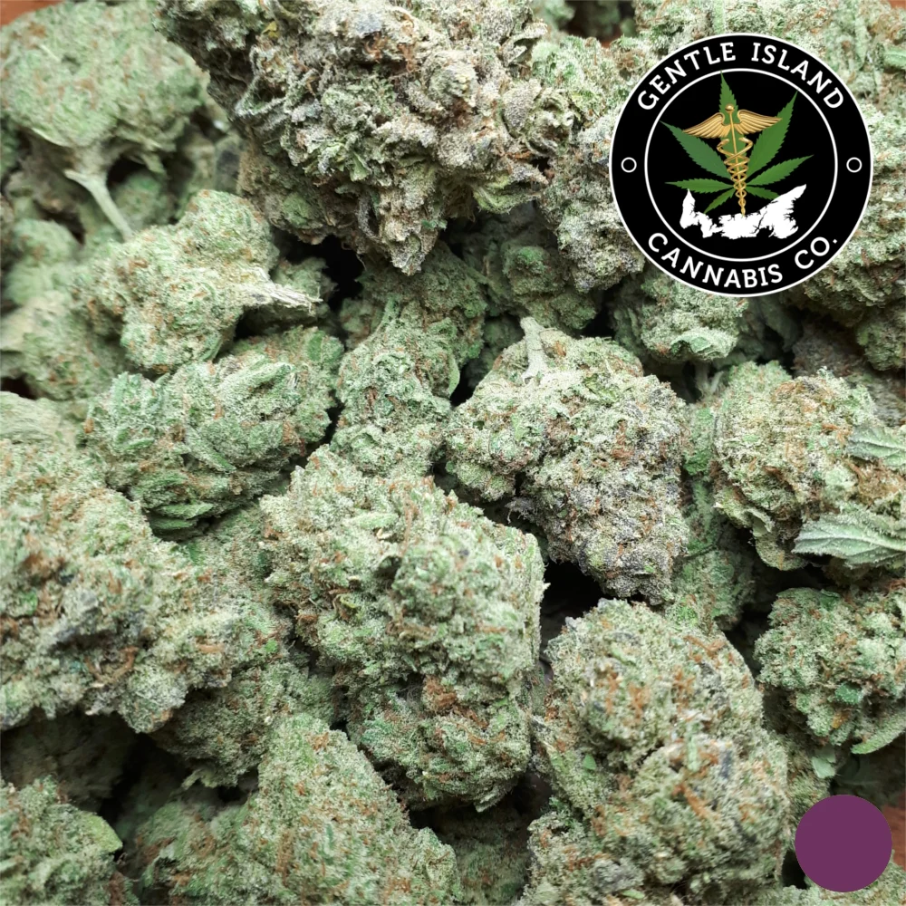 Blue Lime Pie