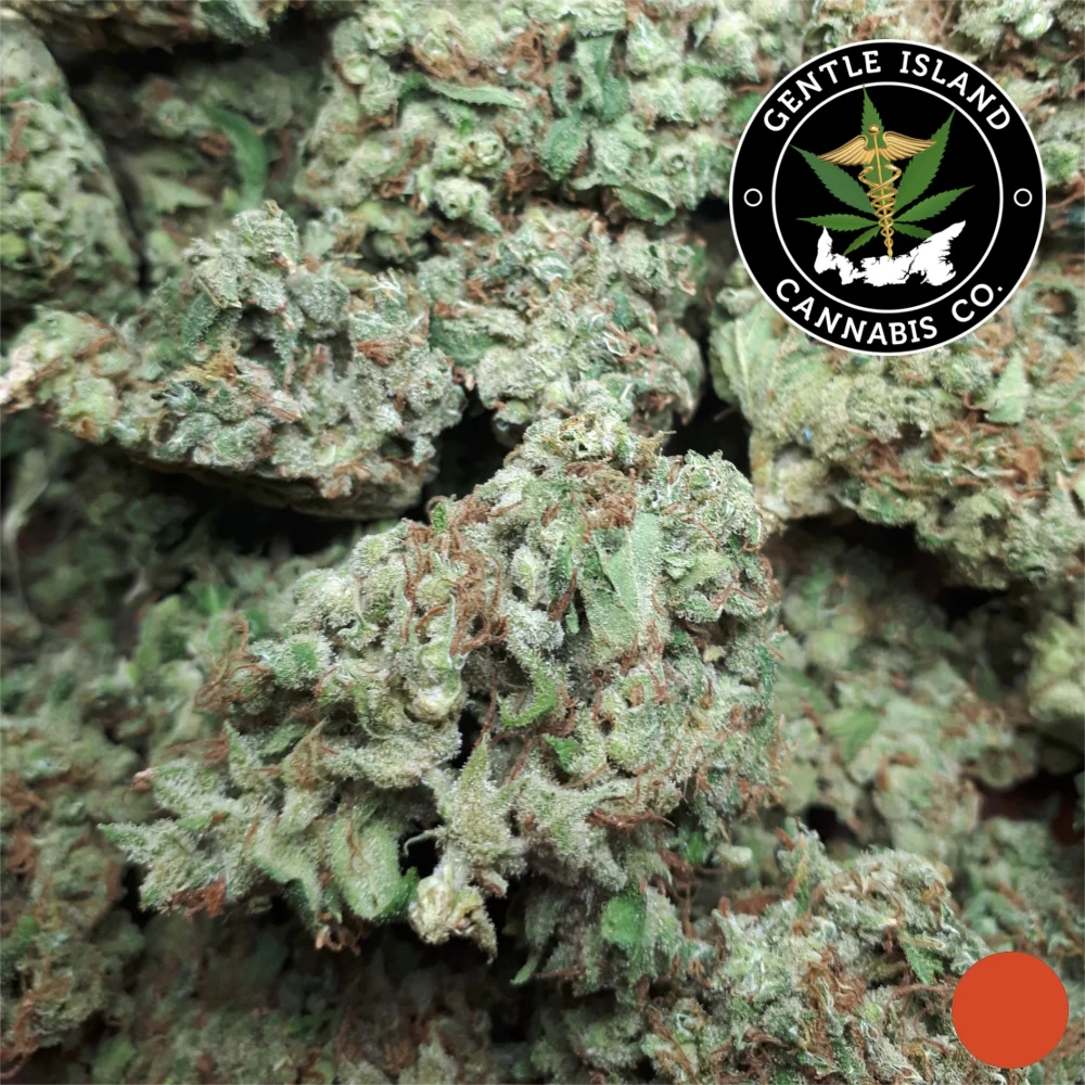 Jack Herer