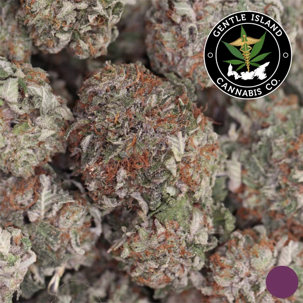 Critical Mass