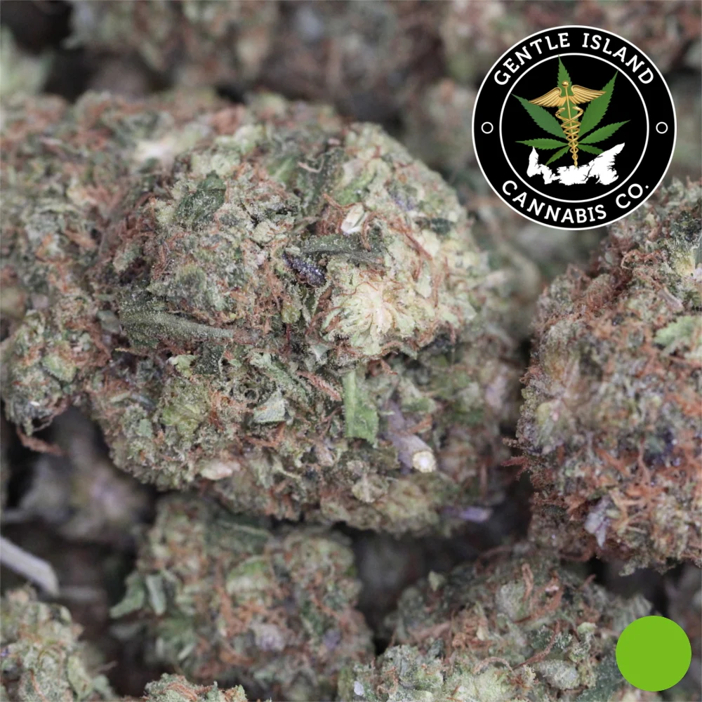 Grapefruit Gas(Diesel)