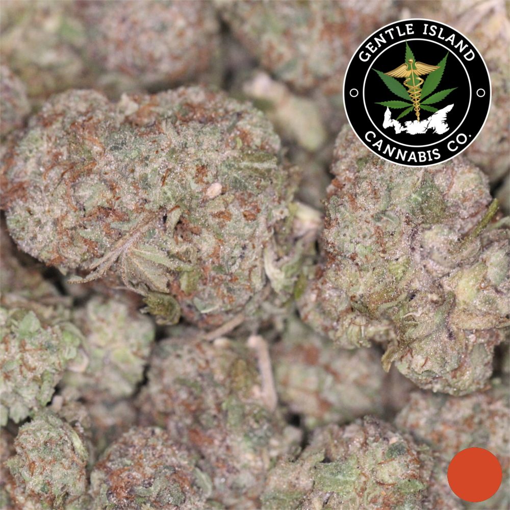 ghosttrainhaze