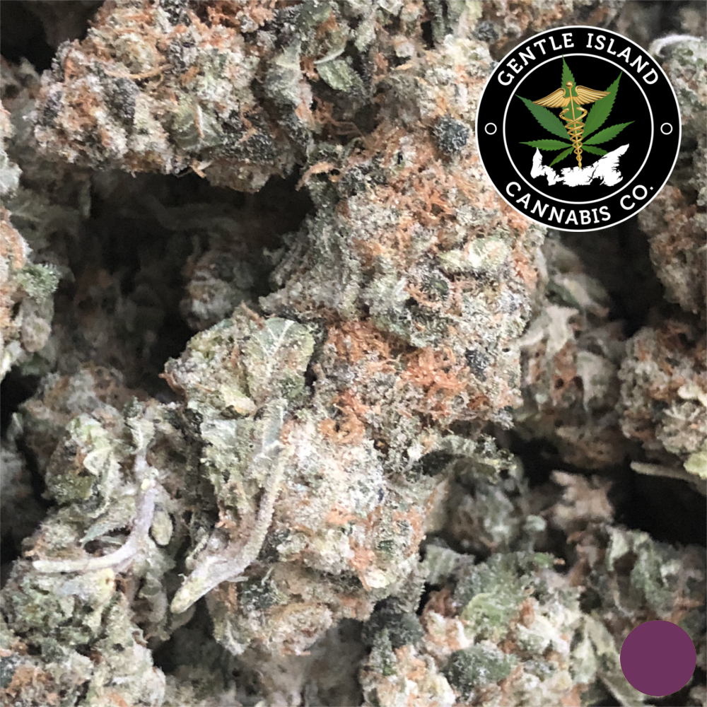 Afghan Dream