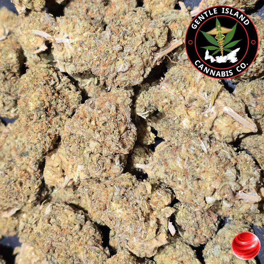 Jamaican Dream