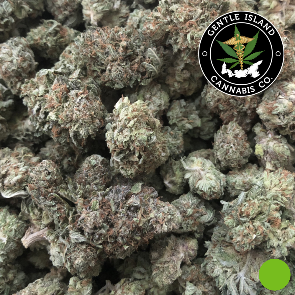 Tuna Frost Gentle Island Cannabis Co.