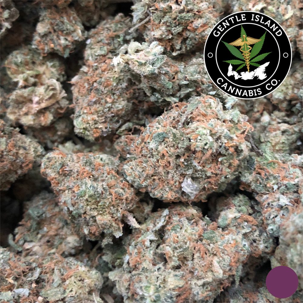 sourbubba