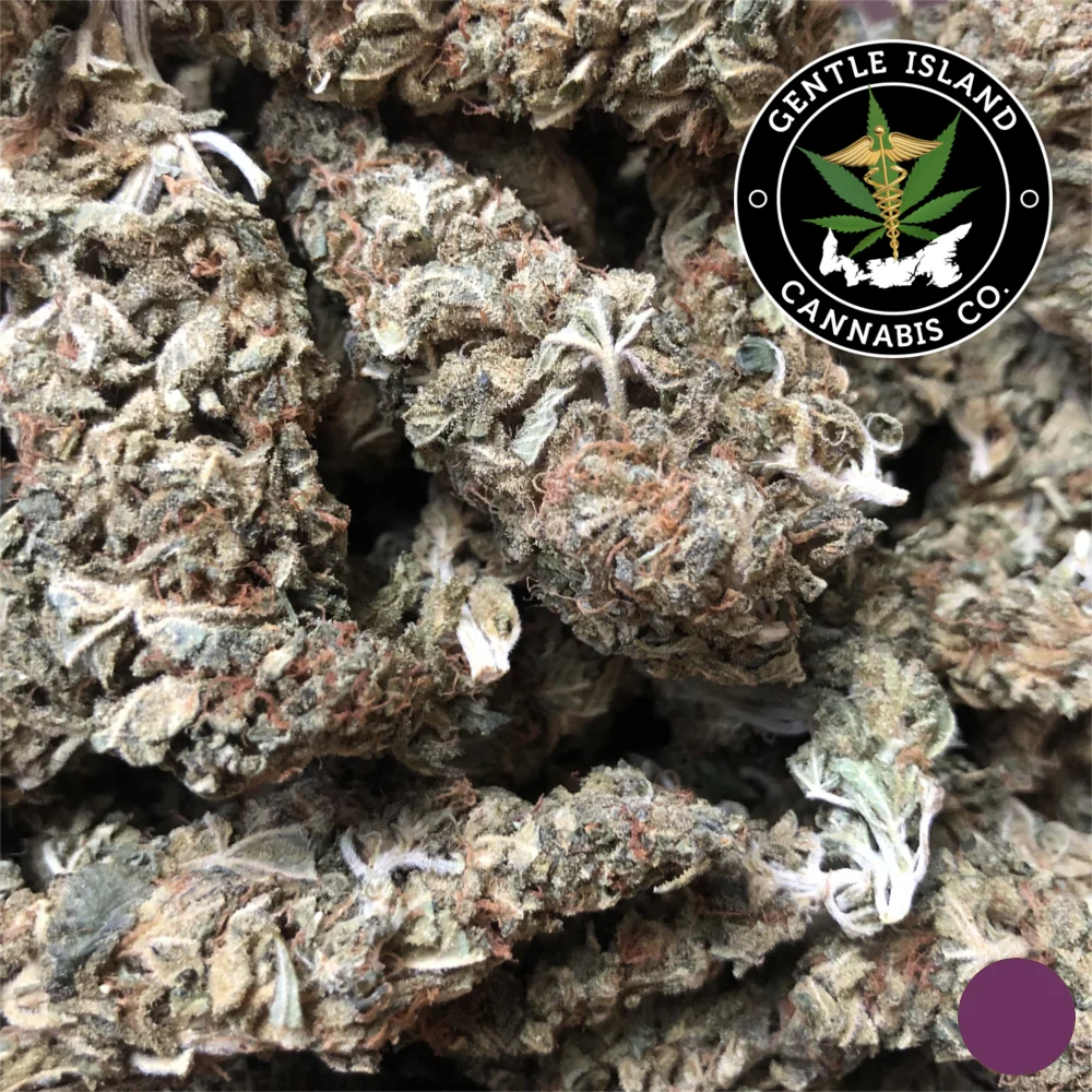 Garlic Bud