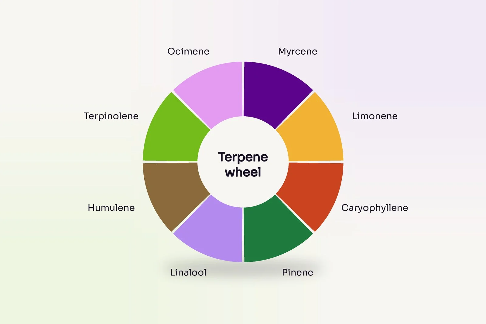 Eight terpenes worth knowing by smell