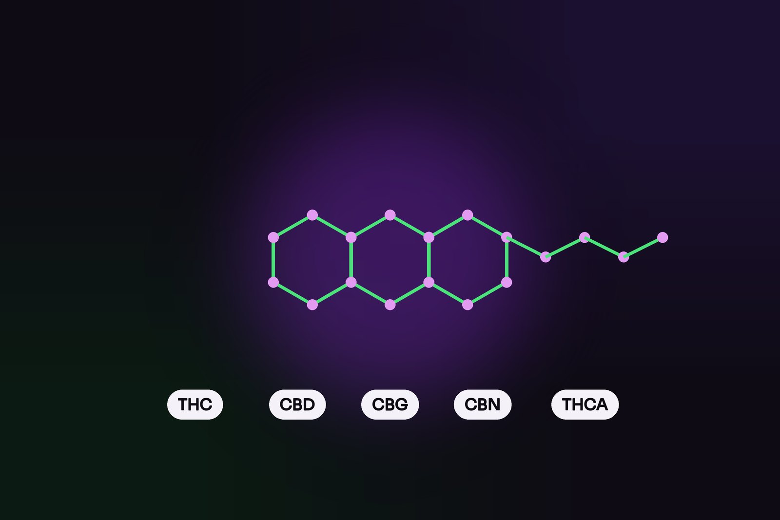Beyond THC and CBD: meet the cannabinoid family