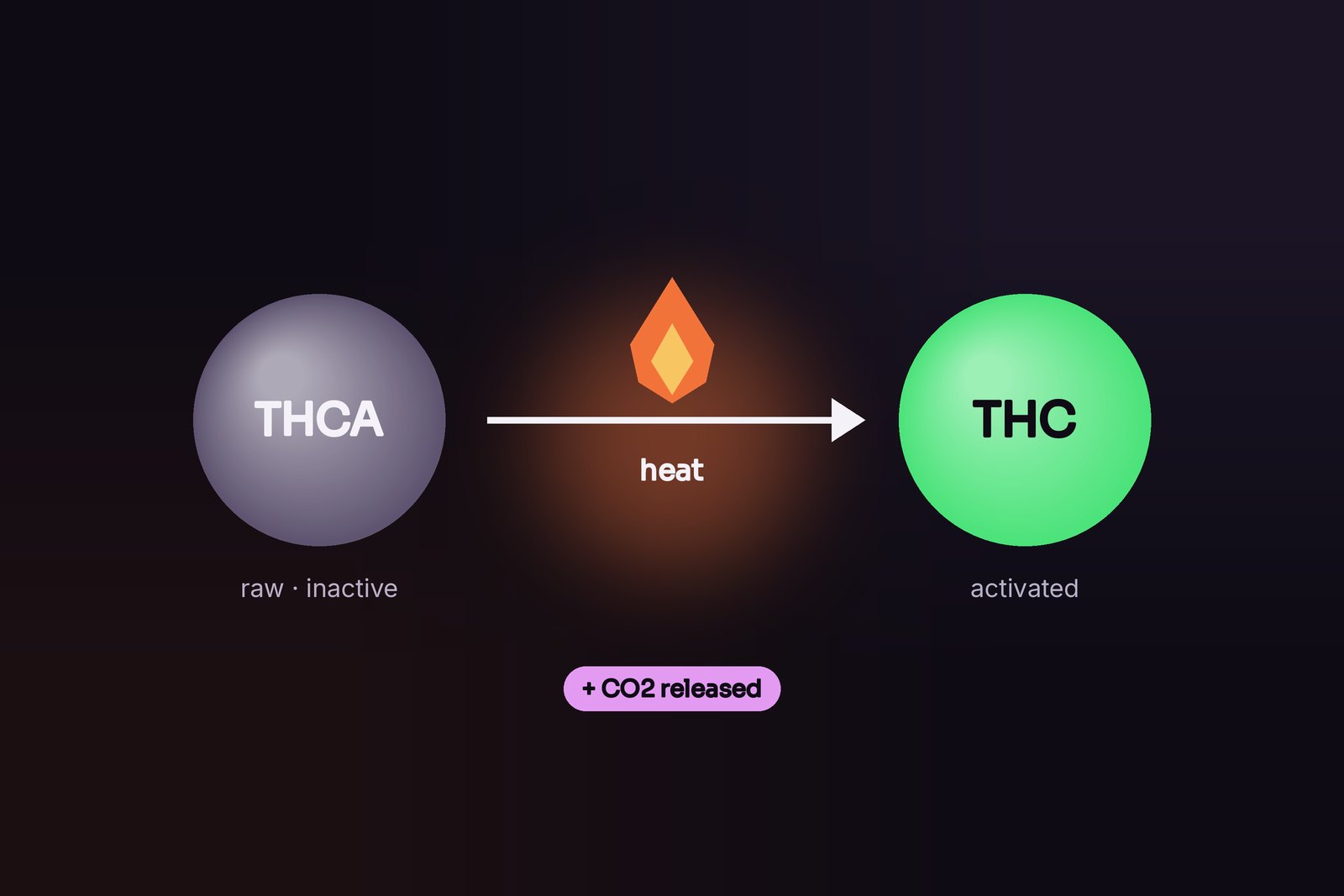 Why raw cannabis won’t get you high